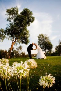WEDDING PHOTOS 066